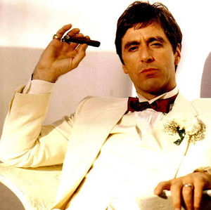 Meet your Posher, Lucas